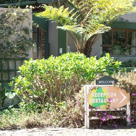 Andelomi Forest Lodge Stormsrivier Exterior photo