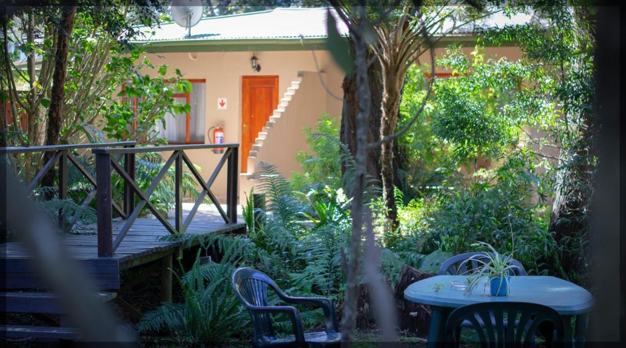 Andelomi Forest Lodge Stormsrivier Exterior photo