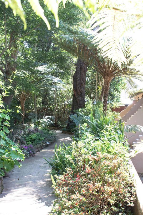 Andelomi Forest Lodge Stormsrivier Exterior photo