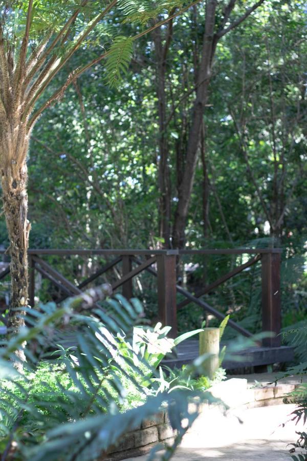 Andelomi Forest Lodge Stormsrivier Exterior photo