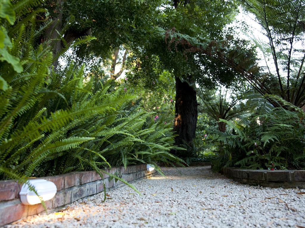 Andelomi Forest Lodge Stormsrivier Exterior photo