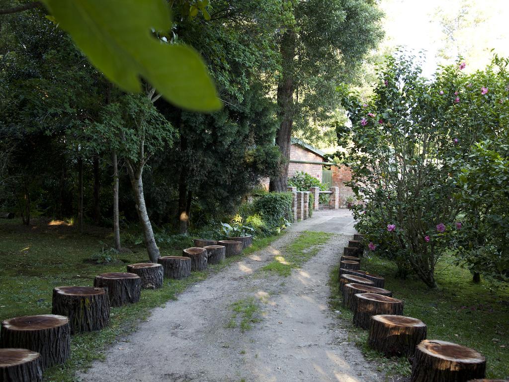 Andelomi Forest Lodge Stormsrivier Exterior photo