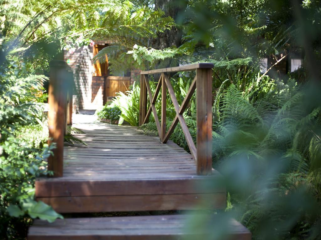 Andelomi Forest Lodge Stormsrivier Exterior photo