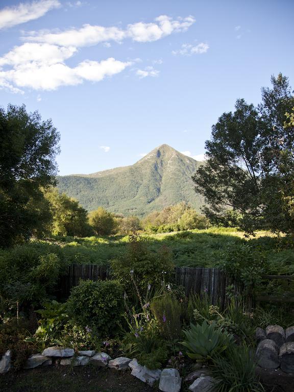 Andelomi Forest Lodge Stormsrivier Exterior photo